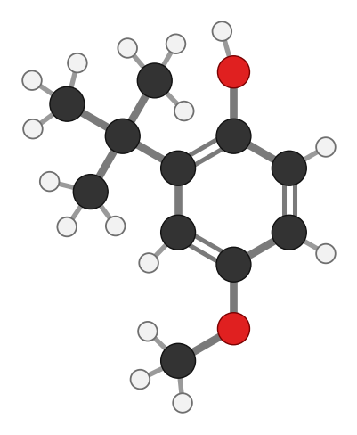 BHA: a benzene ring with an OH, a methoxy group and a bulky tert-butyl group; every hydrogen shown