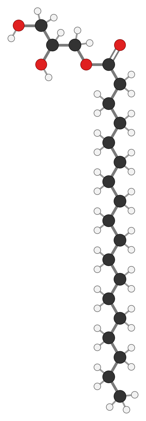 Glyceryl monostearate: a glycerol head with two OH groups joined to one long 18-carbon fatty acid tail; every hydrogen shown