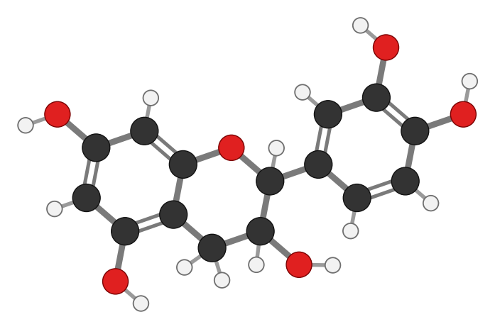 Catechin: two benzene rings linked through a ring containing oxygen, with five OH groups; every hydrogen shown