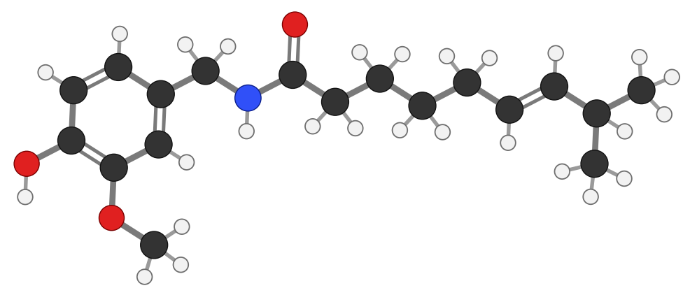 Capsaicin: a benzene ring with OH and methoxy groups joined through an amide to a long branched carbon tail; every hydrogen shown