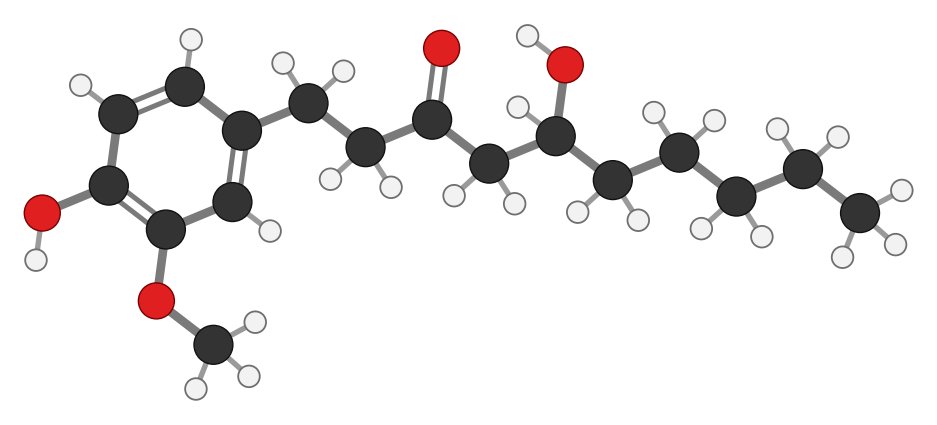 6-Gingerol: the same vanilla-like ring as capsaicin with a carbon chain carrying a ketone and an OH; every hydrogen shown