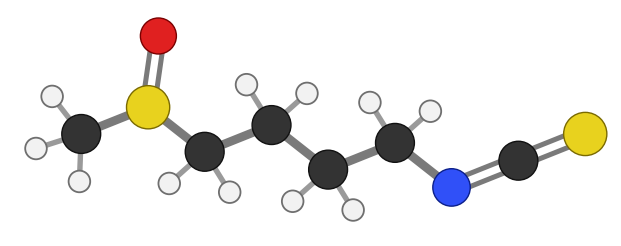 Sulforaphane: a four-carbon chain with a sulfoxide group at one end and an N=C=S isothiocyanate group at the other; every hydrogen shown