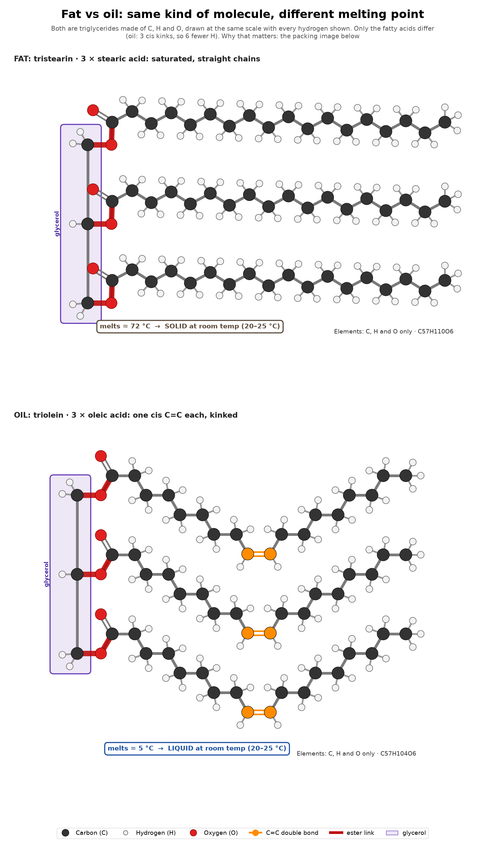 Figure 2: fat vs oil: tristearin above, triolein below