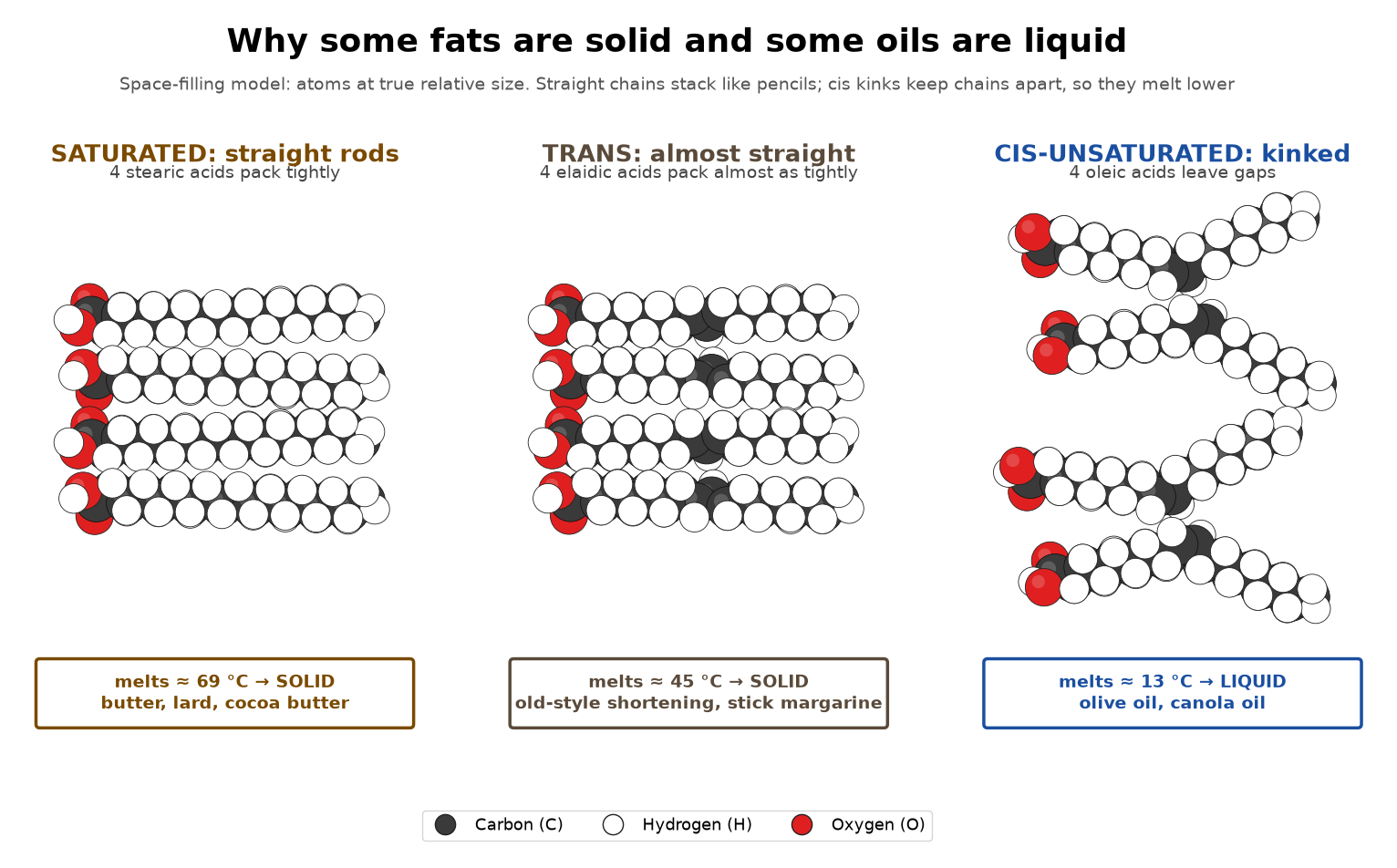 Figure 2: space-filling chains: saturated, trans and cis packing