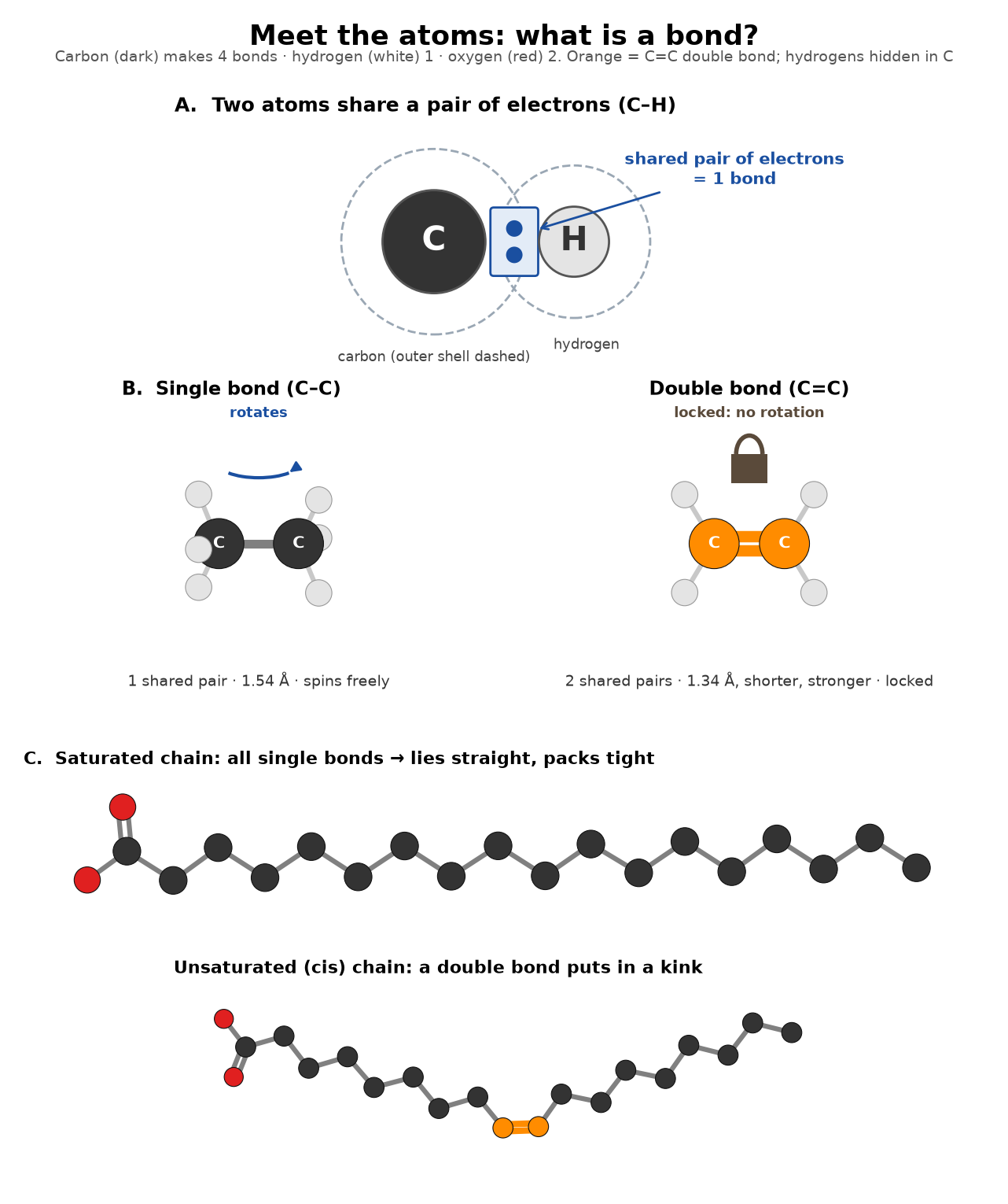 Figure 3: meet the atoms: what is a bond