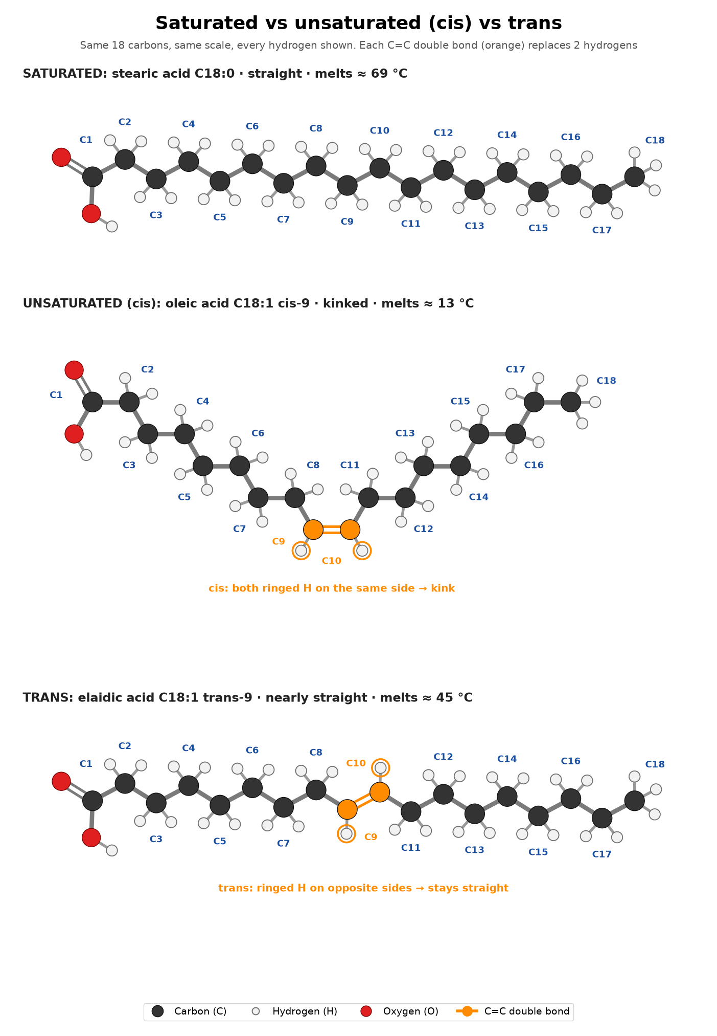Figure 4: Saturated vs unsaturated vs trans