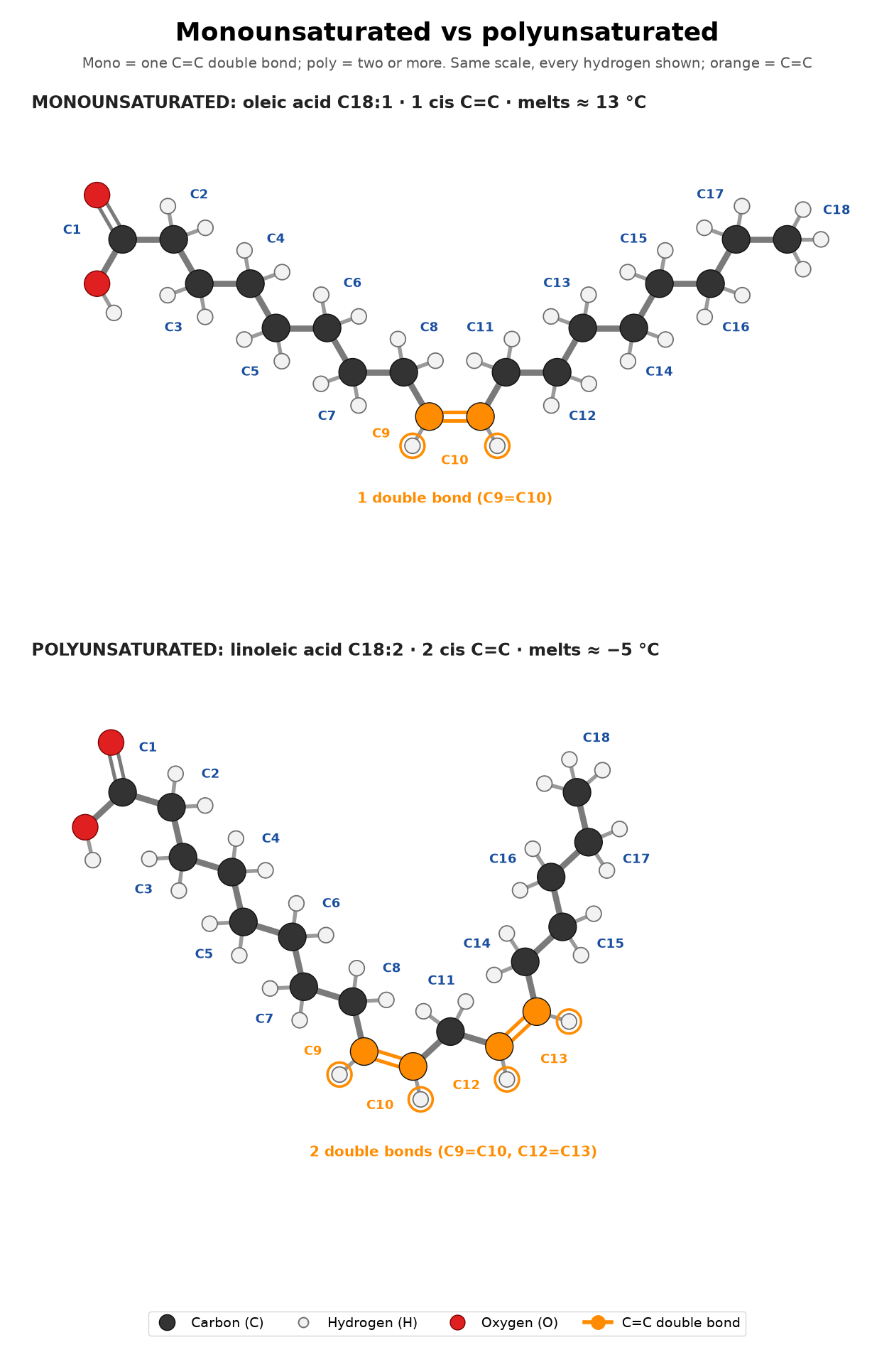 Figure 5: Monounsaturated vs polyunsaturated