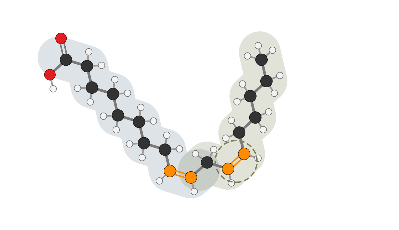 Figure 6: Linoleic acid (LA) · omega-6, carbons numbered from the acid end and from the omega end; ω6 = carbon 12: out of reach, so it is essential