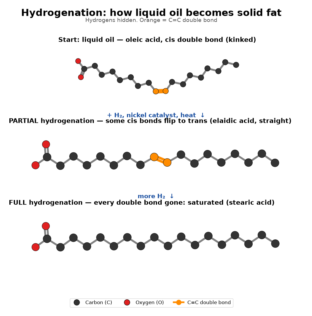 Figure 7: Hydrogenation: how oils become solid fats