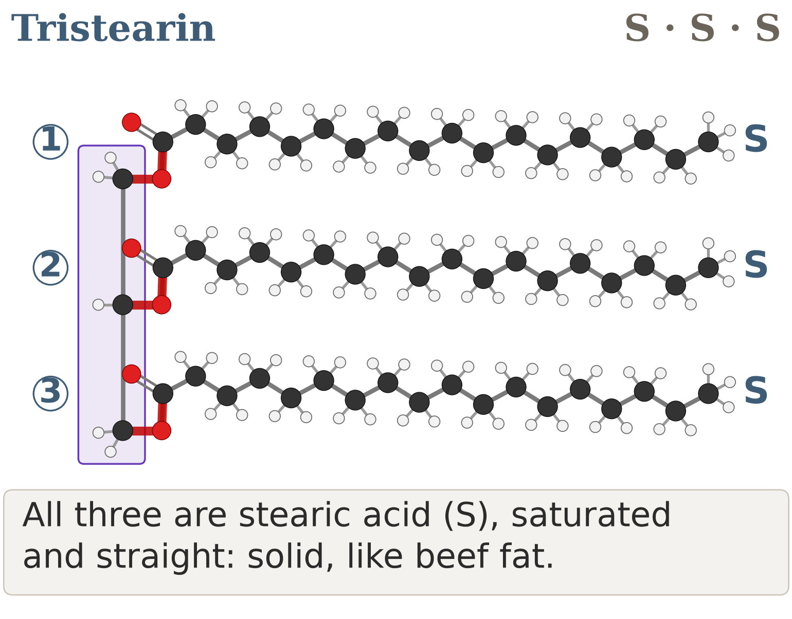 Figure 9: A, many kinds: tristearin, three stearic acids (S S S) on glycerol slots 1 to 3