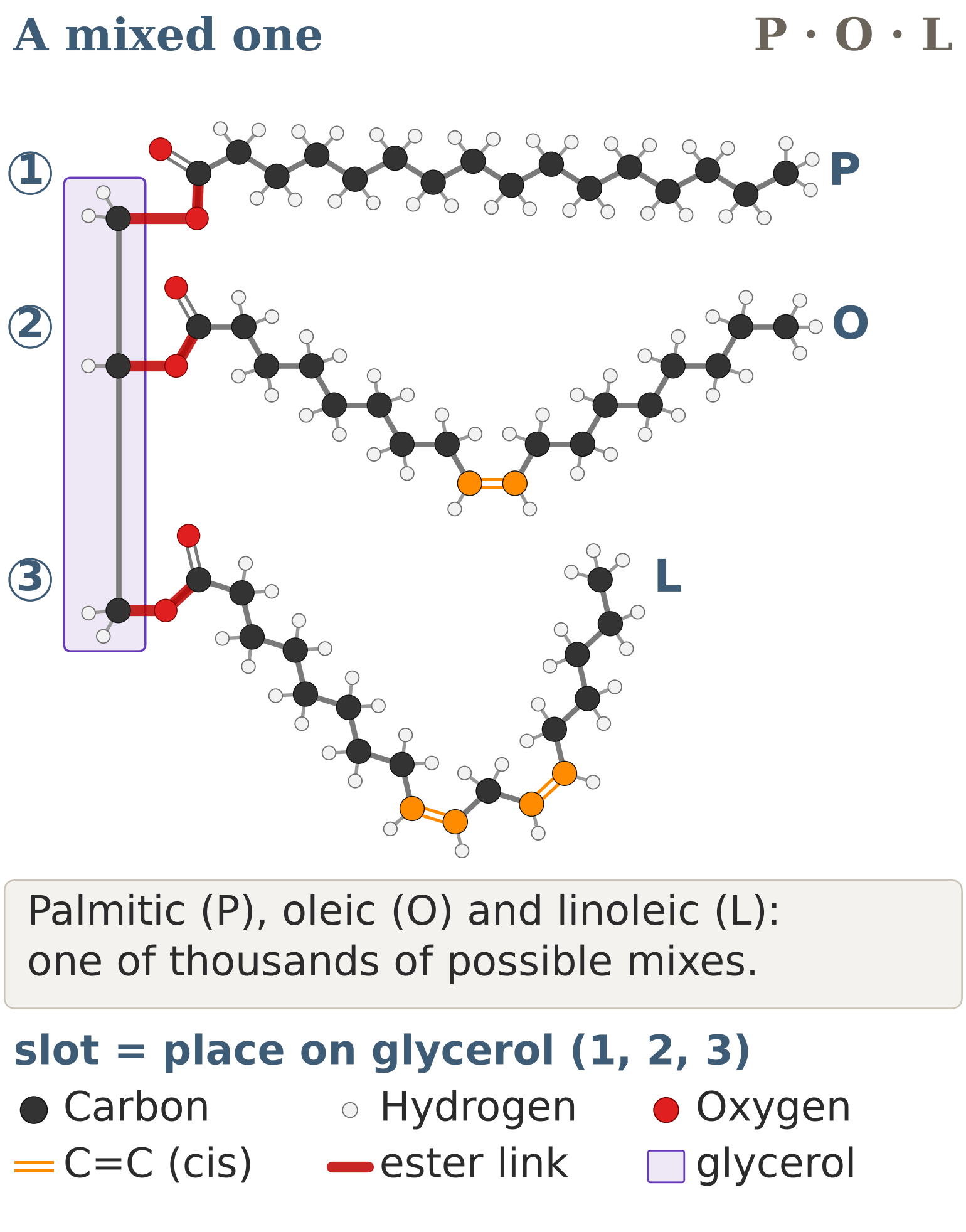 Figure 9: a mixed triglyceride: palmitic, oleic and linoleic (P O L), with legend