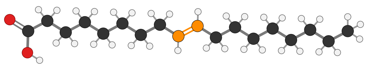 Figure 11: elaidic acid, 18 carbons with one trans double bond (orange) at C9=C10; the chain stays nearly straight
