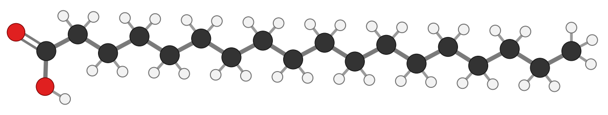 Figure 11: stearic acid, a straight saturated chain of 18 carbons, every hydrogen shown