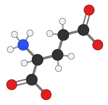 Glutamate ion: an amino acid with a positive NH3 group and two negative carboxylate groups; every hydrogen shown