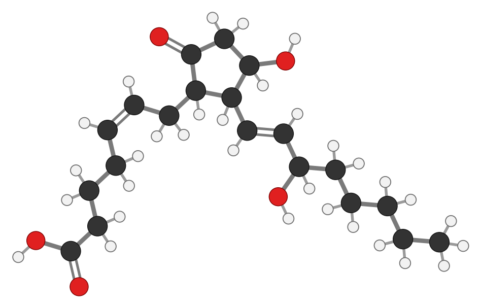 Prostaglandin E2, C20H32O5: the same 20 carbons, now folded with a five-carbon ring in the middle and extra oxygens; every hydrogen shown