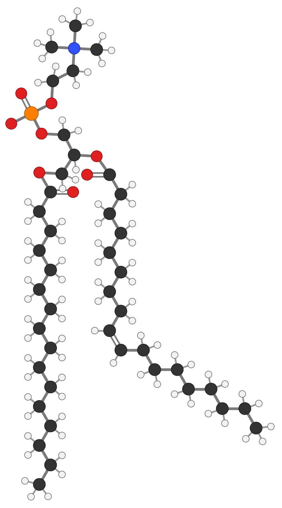 Phosphatidylcholine (lecithin), C42H82NO8P: choline and phosphate head on top, glycerol, then two fatty-acid tails pointing down, one straight (palmitic) and one kinked (oleic); every hydrogen shown