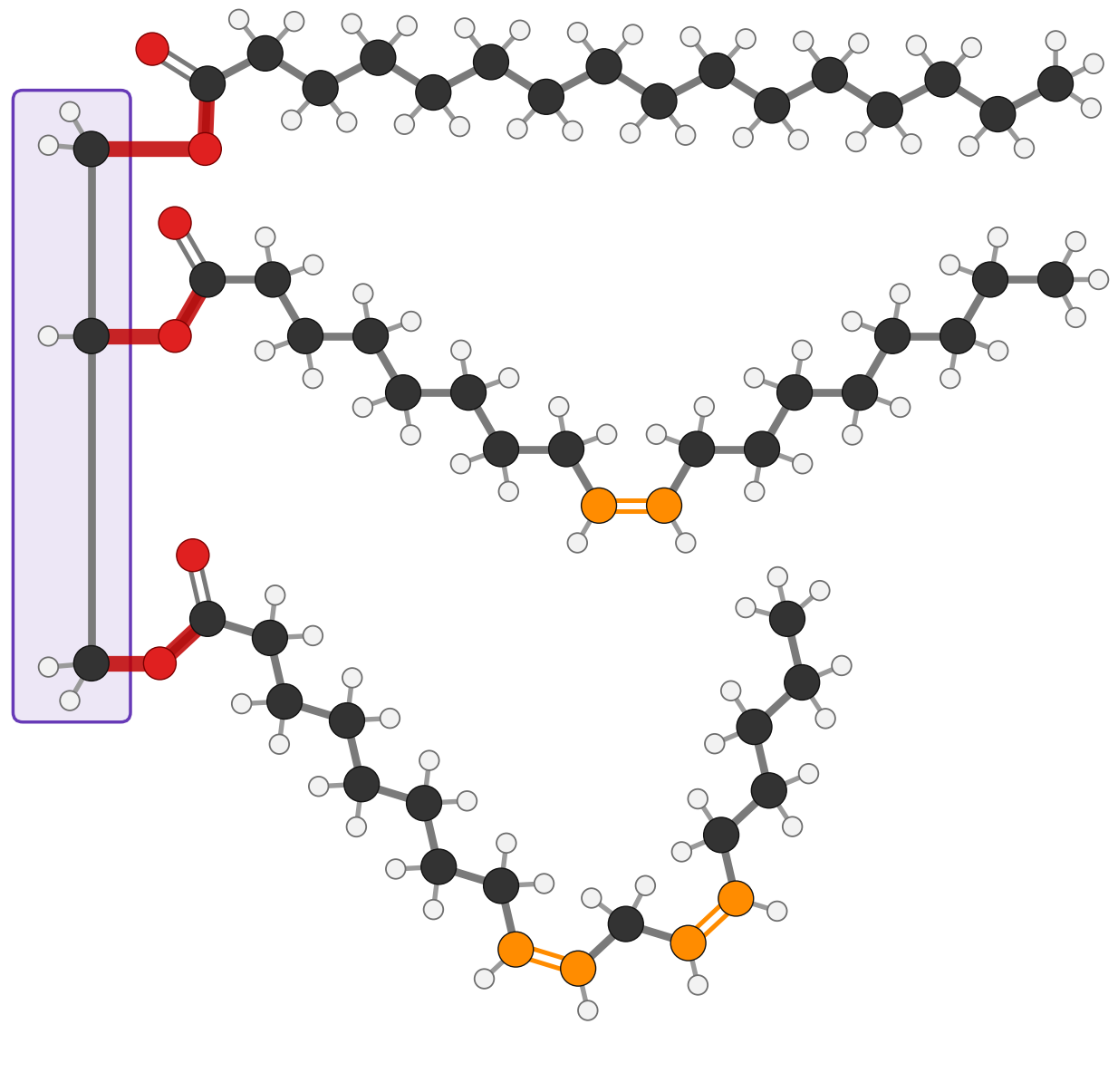 A triglyceride, C55H100O6: glycerol (purple box) holding palmitic, oleic and linoleic acid by ester links (red); orange marks the C=C double bonds; every hydrogen shown
