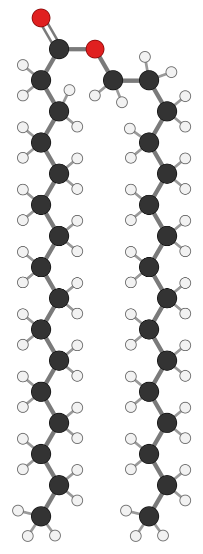 Cetyl palmitate, a wax, C32H64O2: palmitic acid (left chain) joined by an ester link at the top to cetyl alcohol, a 16-carbon alcohol (right chain); every hydrogen shown