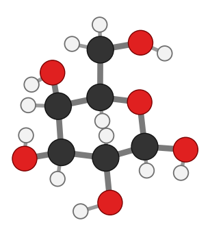 Beta-galactose as a 3D ring model: identical to beta-glucose except that the OH on carbon 4 points up; every hydrogen shown