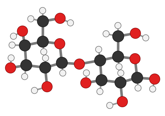Lactose: a galactose ring on the left, with its carbon-4 OH pointing up, joined through an oxygen bridge level with the rings to a glucose ring on the right; every hydrogen shown