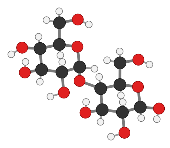 Maltose: two glucose rings joined through an oxygen bridge from carbon 1 of the left ring, pointing down, to carbon 4 of the right ring; every hydrogen shown