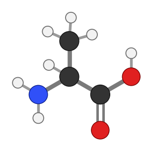 Alanine: the same amine, alpha carbon and carboxyl as glycine, with a CH3 side chain pointing up; every hydrogen shown