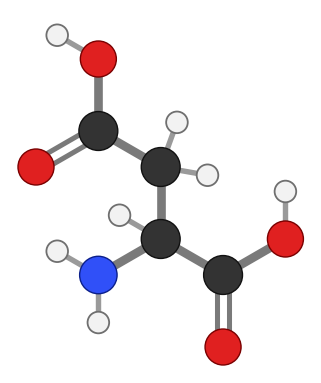 Aspartic acid (Asp), C4H7NO4: amine and carboxyl at the bottom, side chain pointing up; every hydrogen shown
