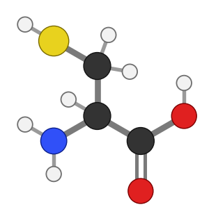 Cysteine (Cys), C3H7NO2S: amine and carboxyl at the bottom, side chain pointing up; every hydrogen shown