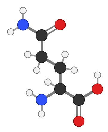 Glutamine (Gln), C5H10N2O3: amine and carboxyl at the bottom, side chain pointing up; every hydrogen shown