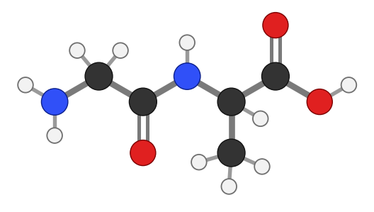 Glycyl-alanine dipeptide: glycine and alanine joined by a C(=O)-NH peptide bond in the middle; every hydrogen shown