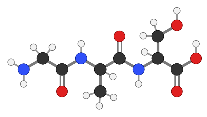 Tripeptide glycine-alanine-serine: three amino acids joined by two peptide bonds in a zigzag backbone, with the side chains alternating up and down; every hydrogen shown