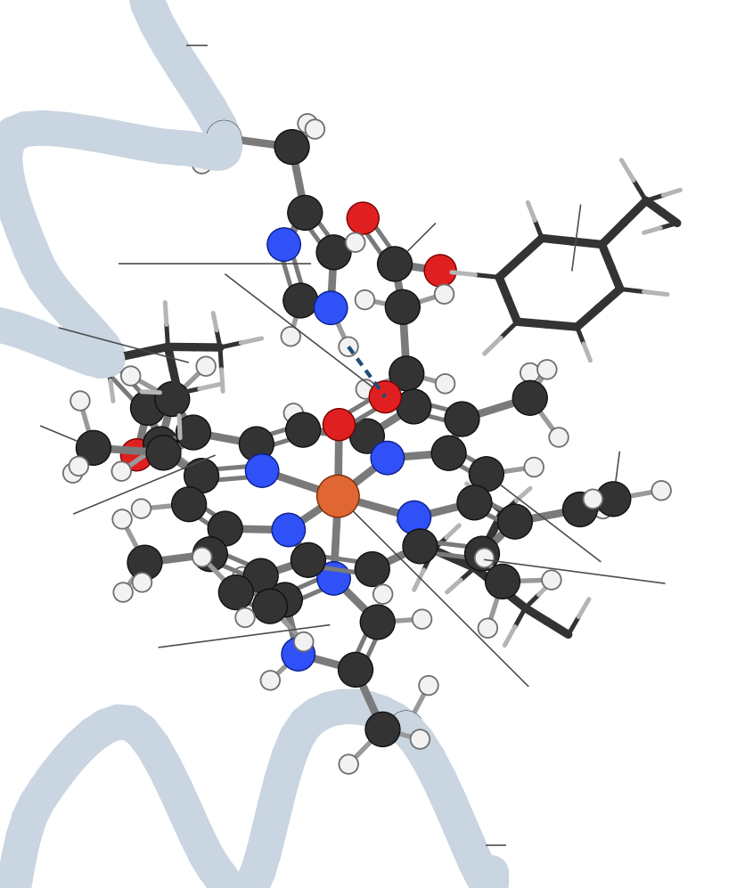 One heme in its pocket in hemoglobin, ball-and-stick with every hydrogen: a flat ring of four pyrroles joined by CH bridges, its four nitrogens (blue) holding an orange iron atom at the centre. Above the iron an oxygen molecule (two red atoms) is bound end-on and bent; the distal histidine E7 above it hydrogen-bonds the far oxygen (dashed line). Below, the proximal histidine F8 is bonded to the iron. Valine, phenylalanine and leucine side chains (sticks) line the pocket, and pale blue tubes trace the E and F helices of the protein chain.
