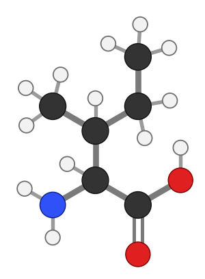 Isoleucine (Ile), C6H13NO2: amine and carboxyl at the bottom, side chain pointing up; every hydrogen shown