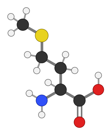 Methionine (Met), C5H11NO2S: amine and carboxyl at the bottom, side chain pointing up; every hydrogen shown