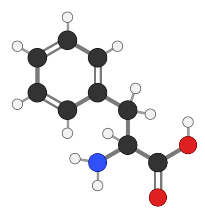 Phenylalanine (Phe), C9H11NO2: amine and carboxyl at the bottom, side chain pointing up; every hydrogen shown