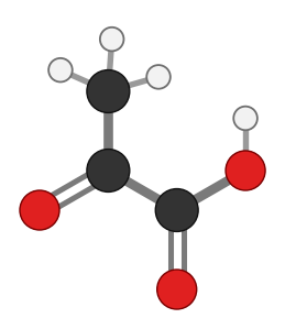 Pyruvate (drawn as pyruvic acid): three carbons, a C=O in the middle where alanine had its amine group, and a carboxyl group; every hydrogen shown