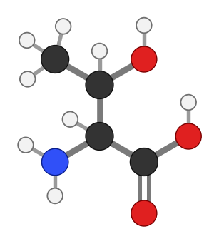 Threonine (Thr), C4H9NO3: amine and carboxyl at the bottom, side chain pointing up; every hydrogen shown
