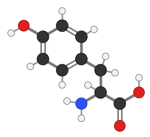 Tyrosine (Tyr), C9H11NO3: amine and carboxyl at the bottom, side chain pointing up; every hydrogen shown
