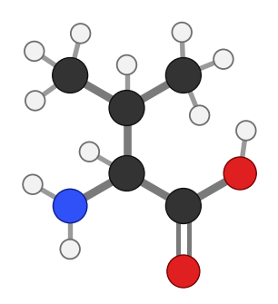 Valine (Val), C5H11NO2: amine and carboxyl at the bottom, side chain pointing up; every hydrogen shown