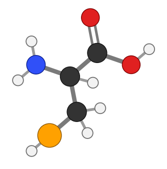 Selenocysteine: the same amino acid with selenium in place of sulfur; every hydrogen shown