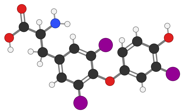 Triiodothyronine: the same as thyroxine with one iodine on the outer ring replaced by hydrogen; every hydrogen shown