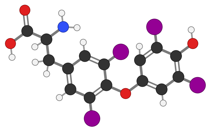 Thyroxine: two benzene rings joined by an oxygen, with two iodines on each ring, an OH on the outer ring and an amino-acid end; every hydrogen shown