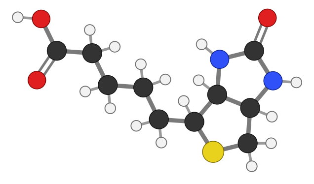 Biotin: two fused five-membered rings, one with sulfur and one with two NH groups and a C=O, and a five-carbon acid tail; every hydrogen shown