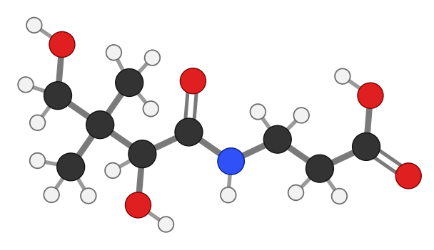 Pantothenic acid: a branched chain with two OH groups joined by an amide link to a three-carbon acid; every hydrogen shown