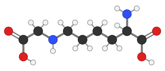 Carboxymethyl-lysine: lysine with a CH2-COOH group stuck onto its side-chain nitrogen; every hydrogen shown